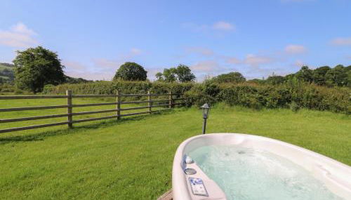 Bwthyn Bach Brefi - Foto 3