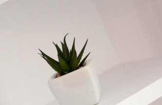 Apartament Marzanna II - Foto 13