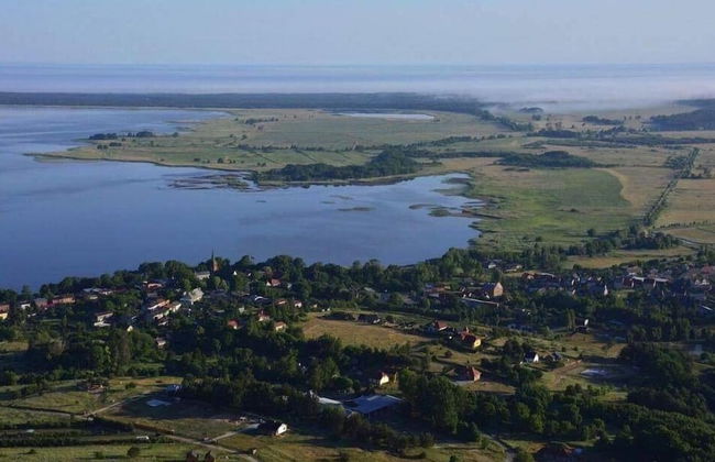 Ptasia Osada - Photo 57