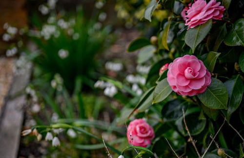 Haven House Gorgeous Lymington Home with Garden and Studio near New Forest - Foto 47