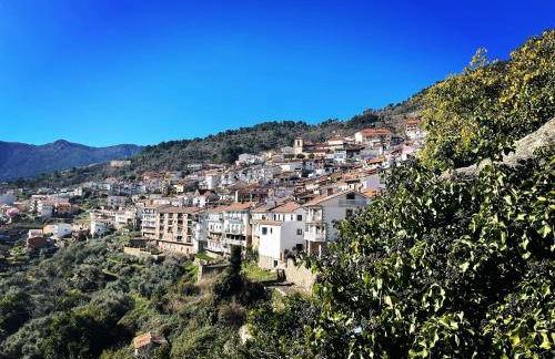 Casa Artista - Foto 25