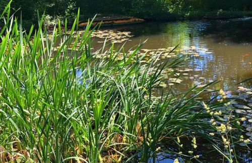 Landhaus Weickenhof Comfortable holiday residence - Foto 31