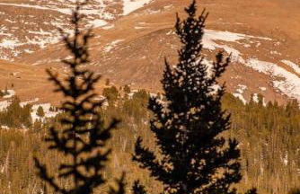 Cozy Cabin Perched on the Mountainside - Alpine Haus - Foto 3