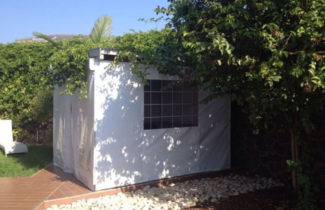 Black and White Holiday - Photo 15