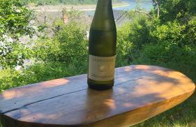 Ferienwohnung zum Rheinblick - Foto 27