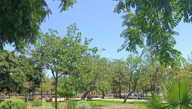 Mediterranean Sea Views Apartment in Huelin - Foto 4