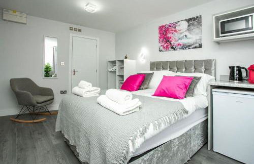 Cosy Flamingo Studio in Sydenham - Foto 3