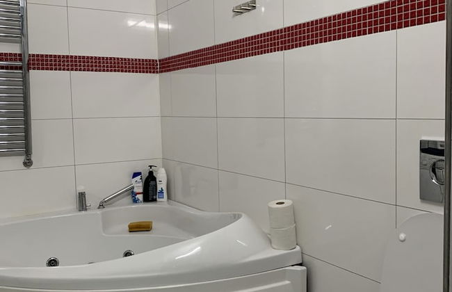 Rose Gerden Apartments and rooms - Foto 31