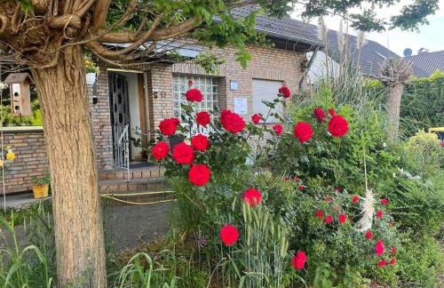 1 A Loft 5 Pers Familie 100qm Terrasse Düsselkdorf Köln - Photo 11