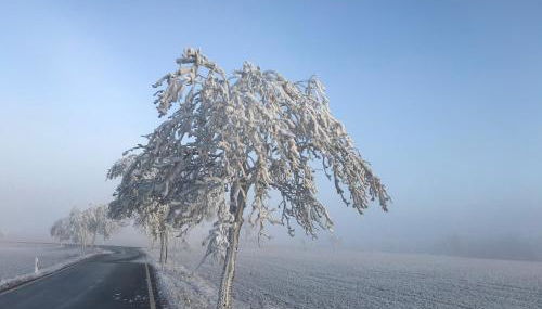 Luxus Ferienhaus Erzgebirge in Alleinlage - Foto 5
