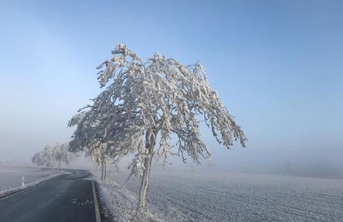 Luxus Ferienhaus Erzgebirge in Alleinlage - Foto 5
