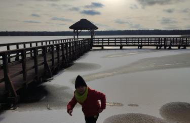 LAZARÓWKA - RYBNO - Foto 33