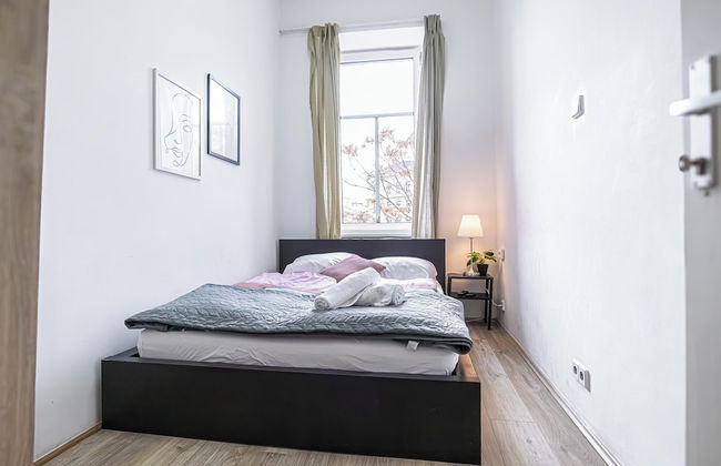 Cozy Room Shared Apt Millennium Tower - Photo 10