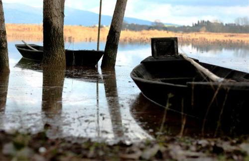 Agriturismo Podere dei kiwi - Foto 42