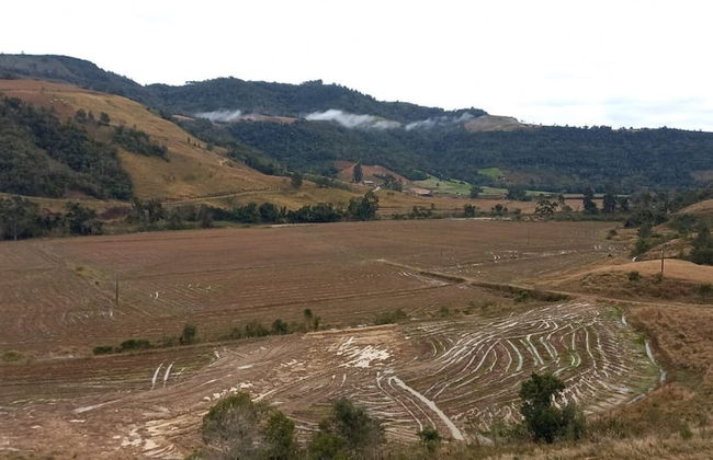 Refúgio dos Pinheiros - Alfredo Wagner - Photo 29