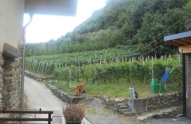 La Vita in Campagna - Foto 35