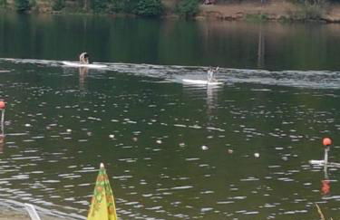 Ferienhaus Nr. 52 im Ferienpark am Twistesee - Foto 10