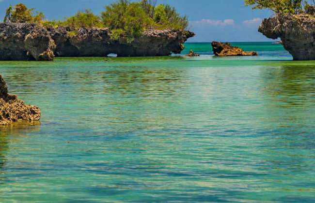 Escursione all'isola di Kwale - Foto 1