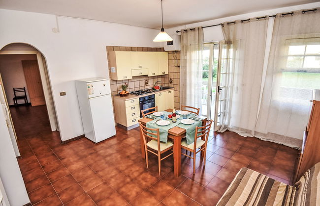 Green Marine, Palme, Ismare - Foto 5