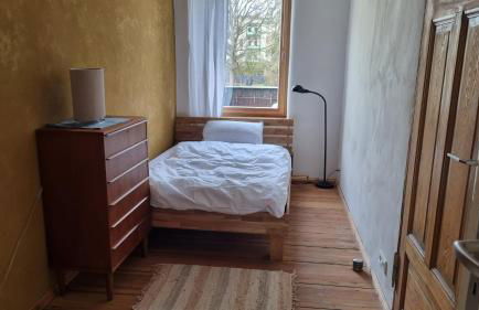 Wohnung in der Waldstadt - Foto 8