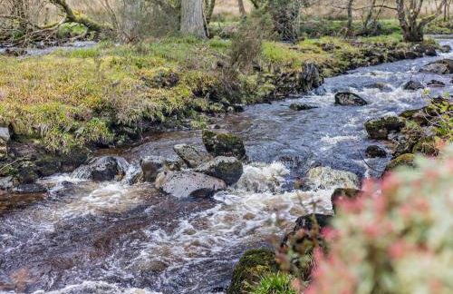 3 Bed in Bala 94600 - Photo 3