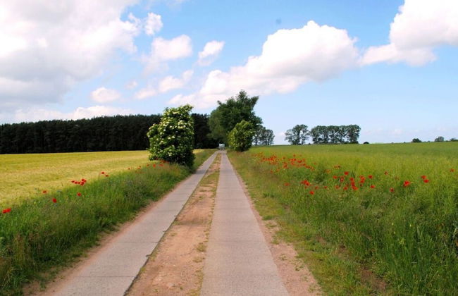 Holiday Apartment sea Breeze - Foto 13