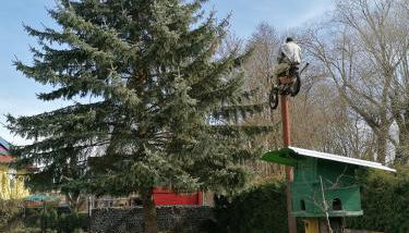 Ferienwohnung Fleischer - Foto 4, Garden