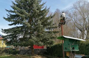Ferienwohnung Fleischer - Foto 4