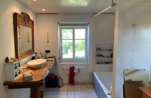 Reetdachhaus, Wilstermarsch - Foto 8