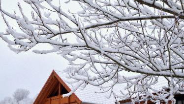 Ferienpark Arber - Foto 4
