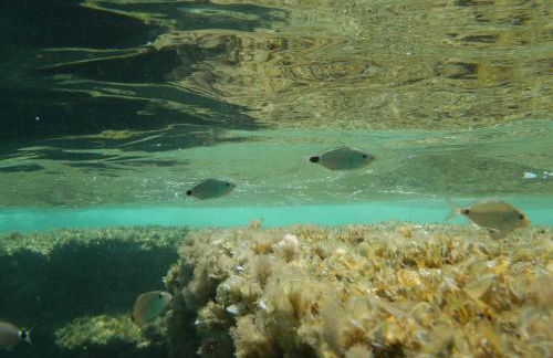 Appartement Gatti - Photo 40