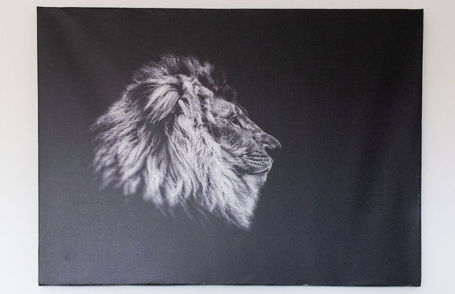 BnButler - Flavio Gioia 5 - Foto 21