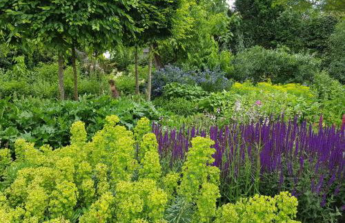 Webergarten - Foto 21