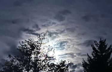 Gîte au bord du lac - Photo 37