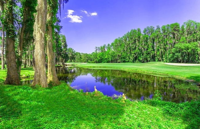 5 Room Saddlebrook Golfview Villa 2BR 2BA - Photo 20