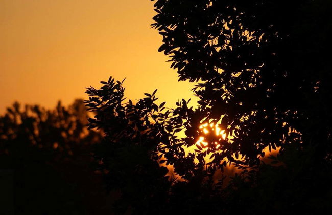 Leyla Eco Resort - Foto 79