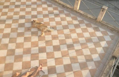 The Sea Cottage Apartments - Foto 3