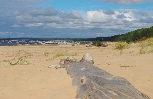 Rabarberi LV - SeaSide Village - Foto 40