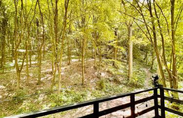 Na Skraju Lasu Domek na Drzewie & Glamping - Foto 39