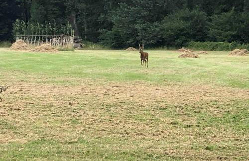 Moors Wood Relaxing ,Tranquil retreat with Hot Tub - Foto 32