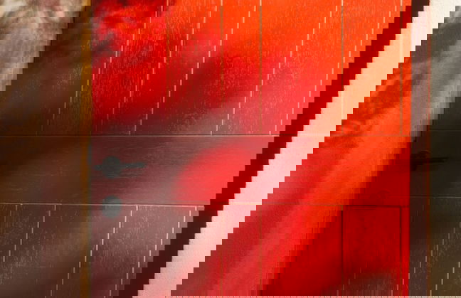 Alma Liebre Viñedos del Valle - Foto 53