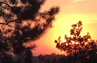 Ruda Chata Tałty - Photo 53