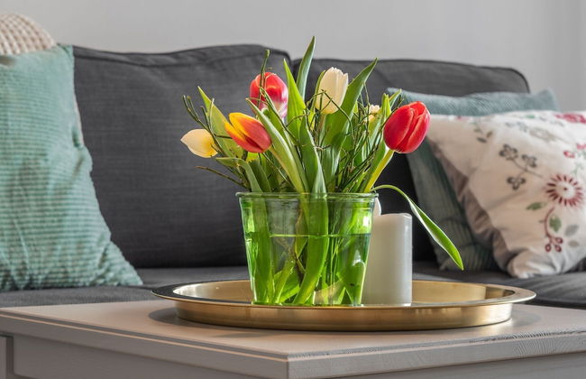 Holiday Home on the Mountain With Views - Photo 35