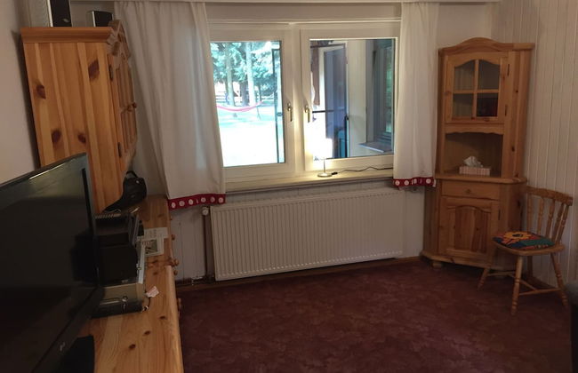 Ferienhaus Mirow-Lärz - Kamin Wald Ruhe - Foto 16