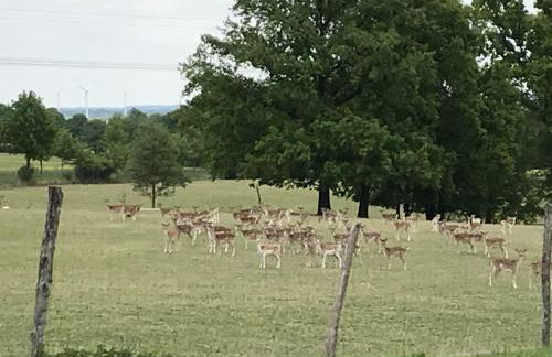 Familie Nahrstedt Parterre - Foto 21