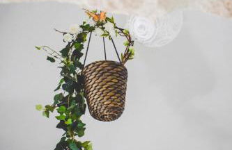 Trulli di Puglia - Casa vacanze in Valle d'Itria - Foto 36