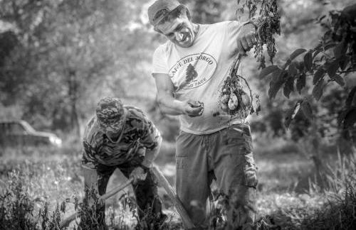 La casa sul ponte - Foto 13