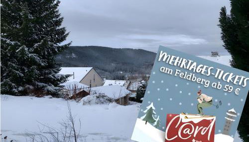 Lichtblick unter der Buche - Foto 5