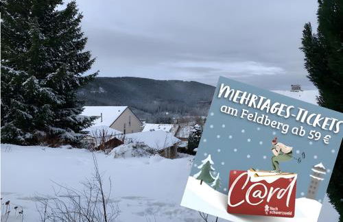 Lichtblick unter der Buche - Foto 5