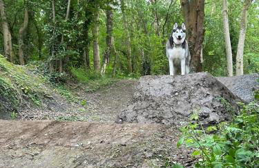 The Corner House - Foto 31